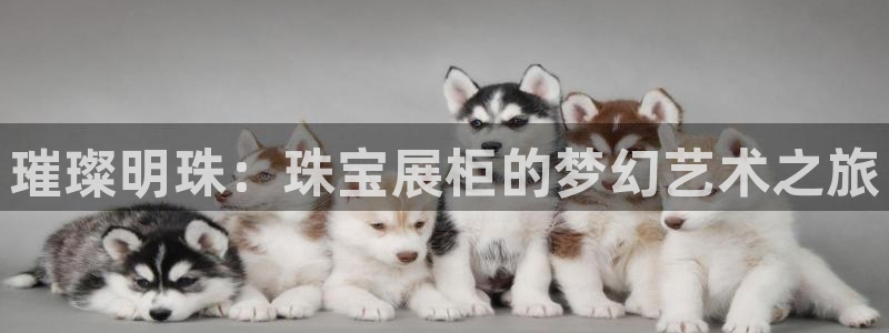 新航娱乐扣款