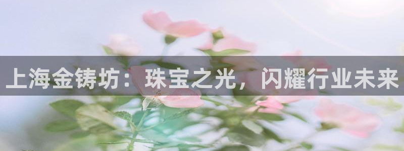 新航娱乐近期演出活动