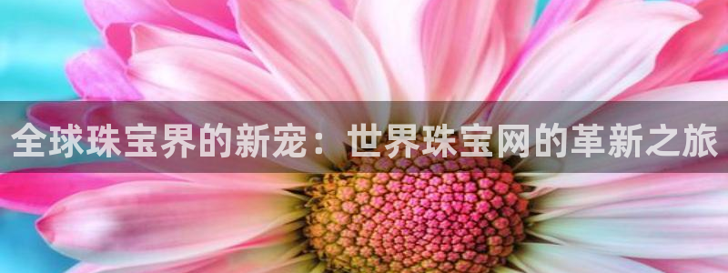 新航海娱乐会所地址