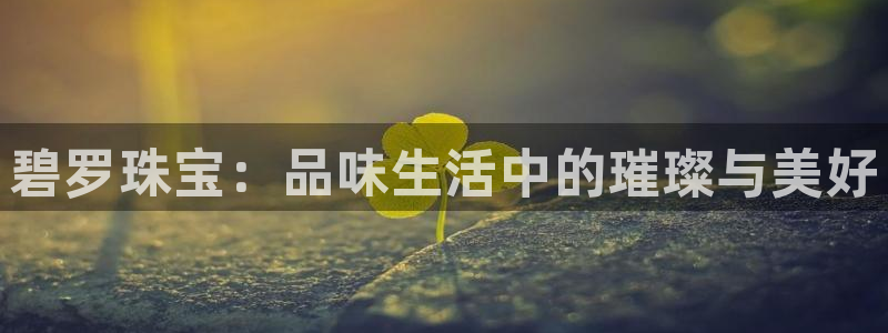 新航娱乐直开怎么下载