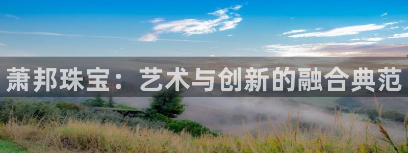 新航娱乐观