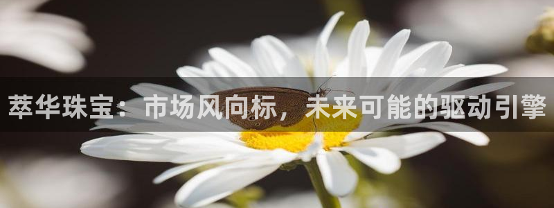 新航娱乐管理有限公司