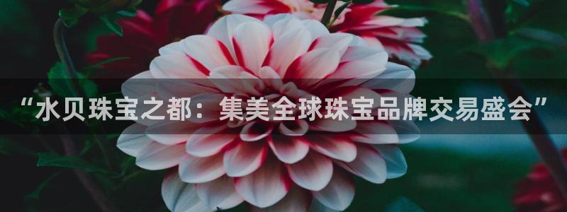 邯大新航娱乐