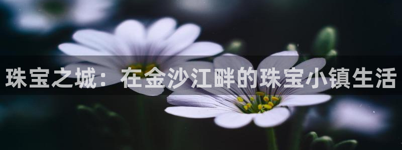 新航娱乐公司地址查询