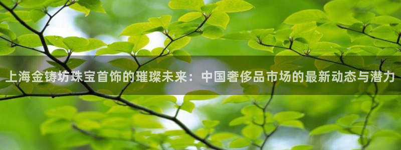 新航娱乐主管