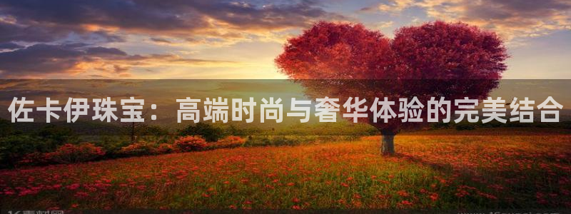 新航娱乐代理
