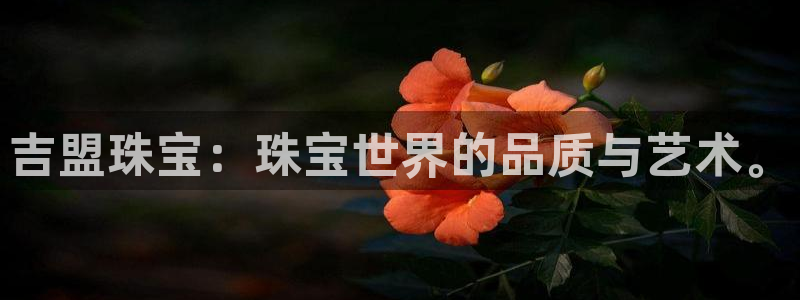新航娱乐是干嘛的