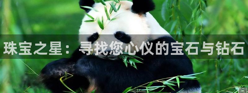 新航文化娱乐传媒招聘