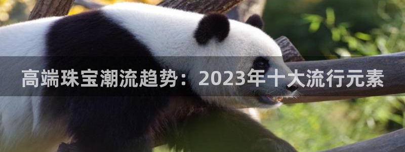 娱乐新航线：高端珠宝潮流趋势：2023年十大流行元素