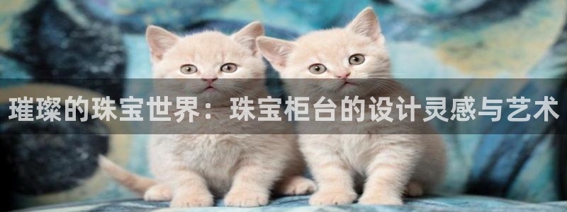 新航娱乐公司地址电话