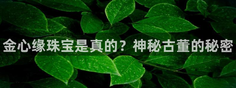新航娱乐有限公司地址