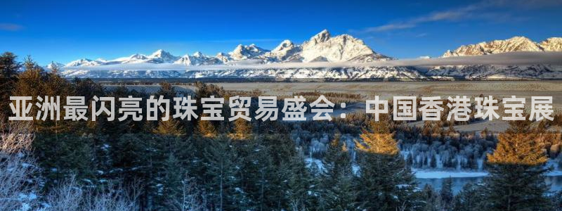 新航娱乐的最新动态报道