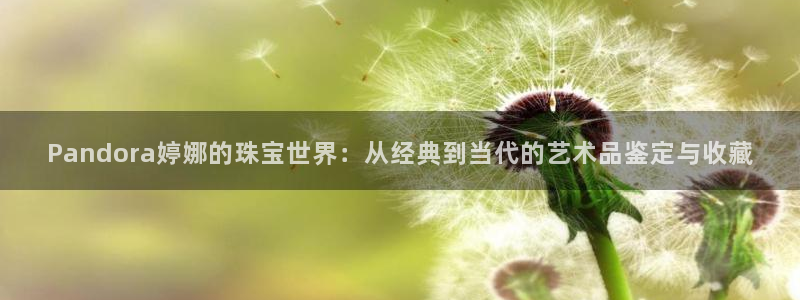 新航线娱乐会所