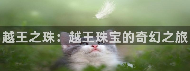 新航娱乐公司地址