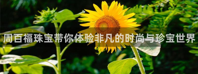 新航娱乐是正规平台吗