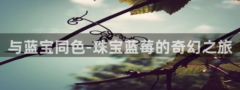 新航城娱乐传媒有限公司