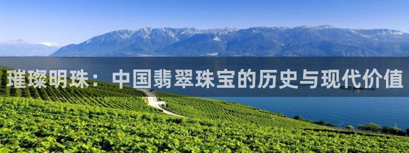 新航娱乐公司旗下艺人