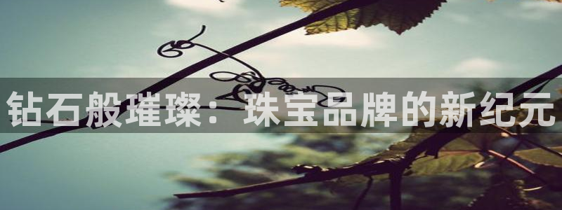 新航娱乐公司简介图片