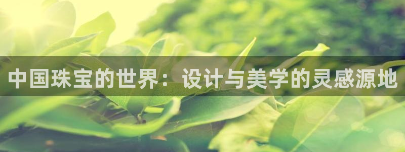 新航娱乐公司旗下艺人