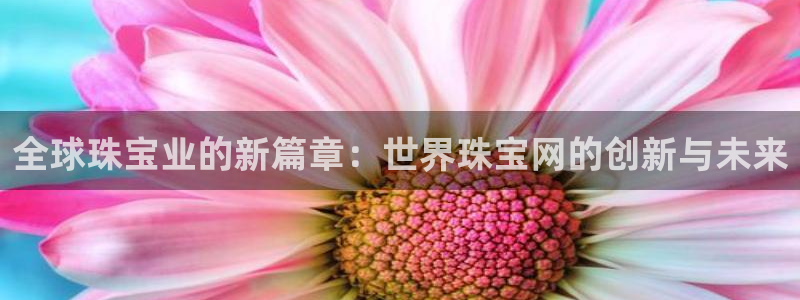 南京新航娱乐