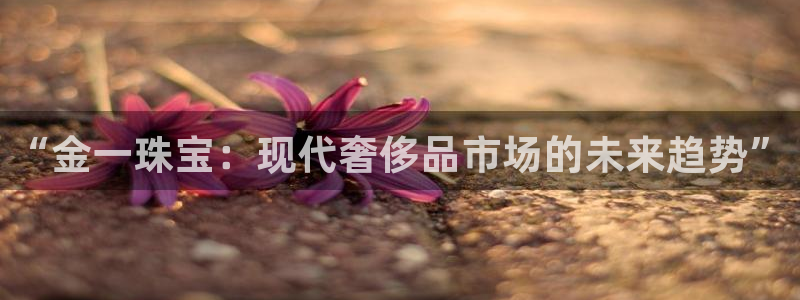 新航娱乐有限公司