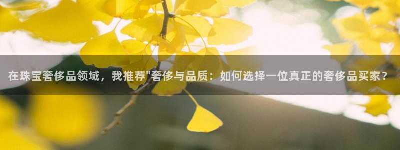 新航娱乐平台登录蒋渭水：在珠宝奢侈品领域，我推荐\