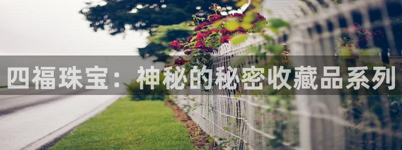 新航娱乐旗下艺人列表