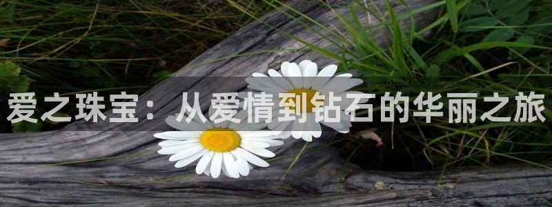 新航娱乐集团最新消息