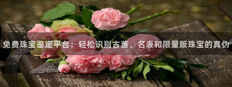 新航飞机椅背娱乐设备：免费珠宝鉴定平台：轻松识别古董、名表和