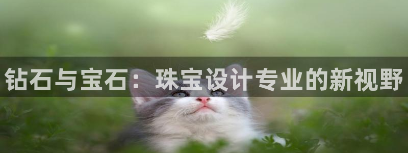 高州市新航线娱乐俱乐部
