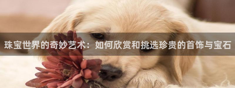 新航娱乐公司地址电话：珠宝世界的奇妙艺术：如何欣赏和挑选珍贵