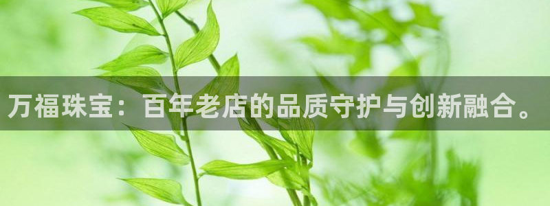 邯大新航娱乐