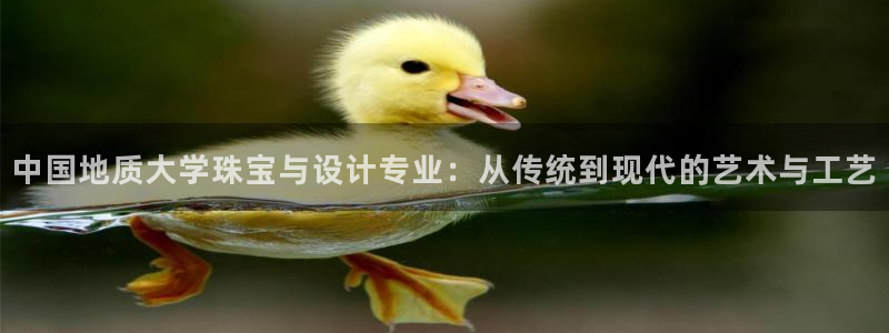 新航娱乐被国家认可吗：中国地质大学珠宝与设计专业：从传统到现