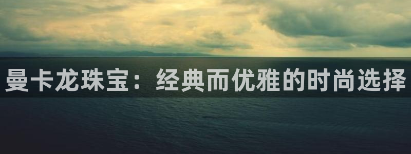 新航娱乐公司问题分析
