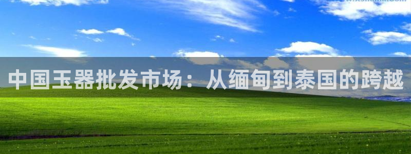 新航娱乐传媒怎么样啊
