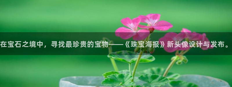 新航娱乐开户