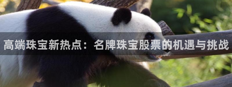 新航娱乐设施