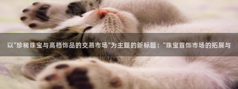 邯大新航娱乐