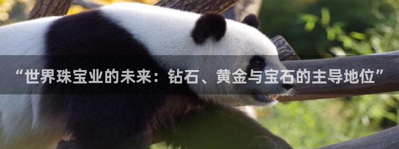 新航娱乐被国家认可吗