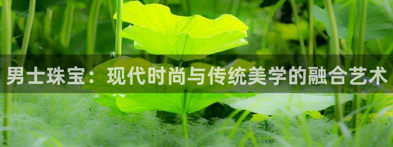 新航文化娱乐传媒怎么样