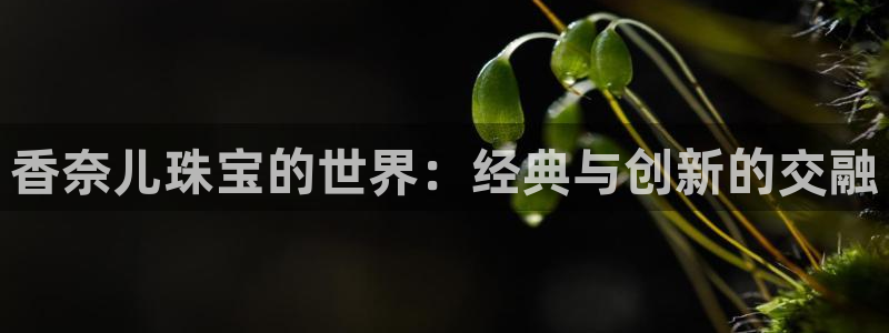 新航sq806娱乐系统