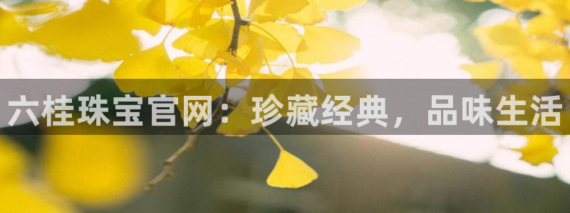 娱乐新航标