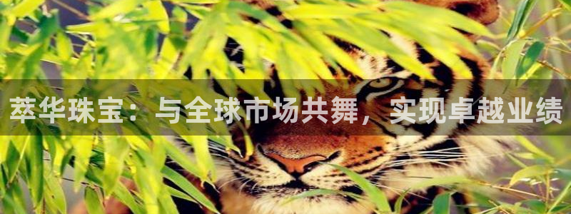 新航娱乐最新娱乐项目介绍