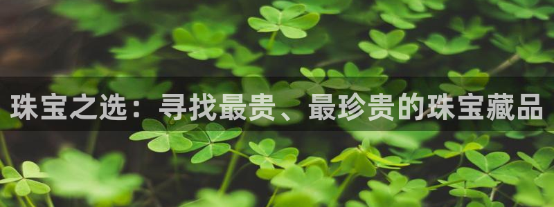 新航娱乐传媒怎么样