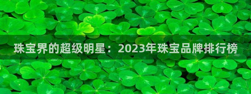 新航机上娱乐