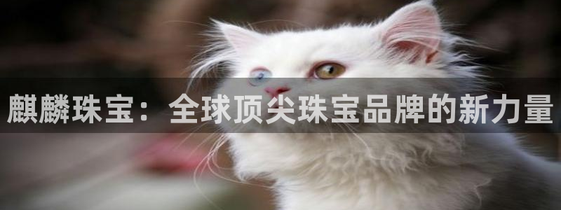 开启娱乐新航线