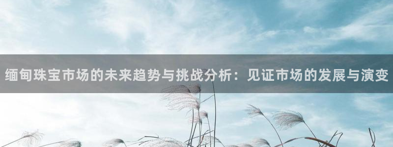 新航娱乐传媒怎么样啊