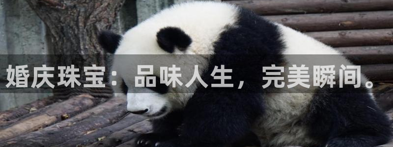 新航娱乐的创始人简介