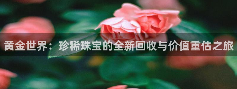 云顶新航国际娱乐城：黄金世界：珍稀珠宝的全新回收与价值重估之