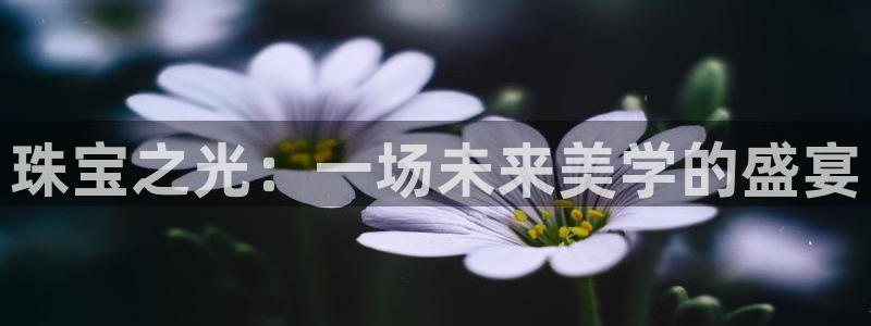 新航娱乐公司问题